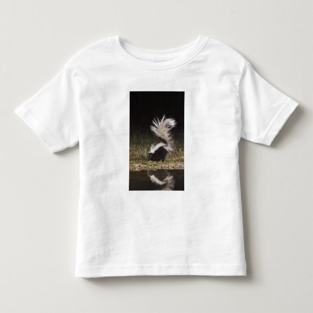 Striped Skunk, Mephitis mephitis Toddler T-Shirt (Front)