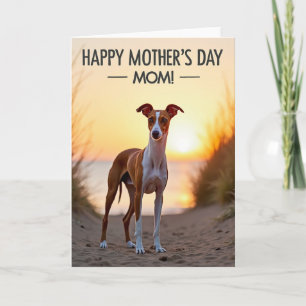 Striped Sunset Canine Card