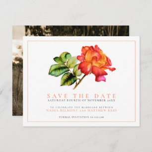 Striped tea rose watercolor orange wedding photo save the date