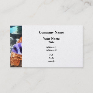 Striped Tropical Fish Frontosa Business Card