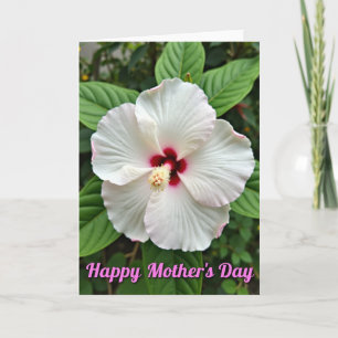 Striped White Blossom Card