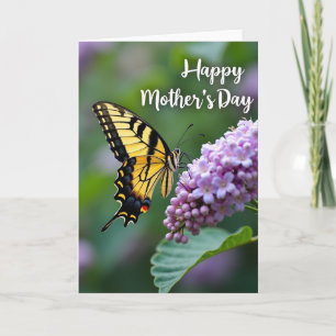 Striped Wing Mothers Day Card