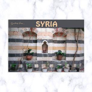 Stripes and Plants in Damascus Syria Postcard