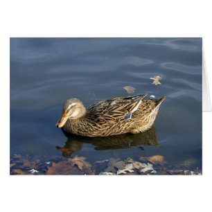 Stripey Duck card
