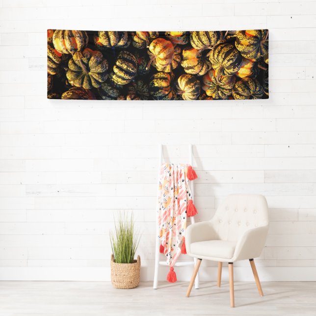 Stripey Pumpkins Cluster  Banner (Insitu)