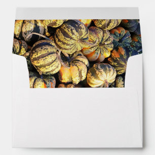 Stripey Pumpkins Cluster Envelope