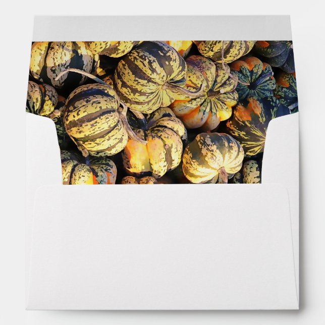 Stripey Pumpkins Cluster  Envelope (Back (Bottom))