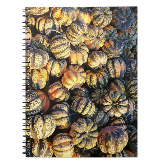 Stripey Pumpkins Cluster  Notebook (Front)