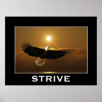 STRIVE ~ Flying Bald Eagle Motivational Poster