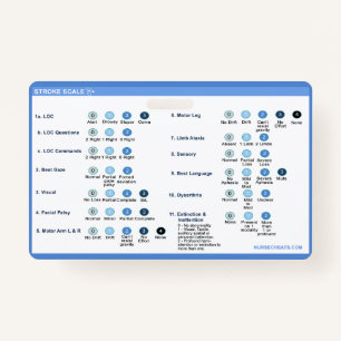 Stroke Scale Badge Companion ID Badge