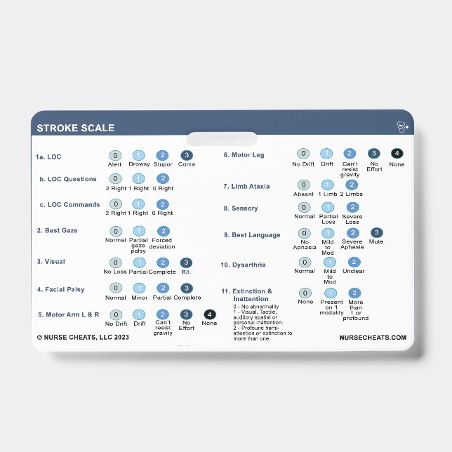STROKE SCALE BADGE ID BADGE (Front)