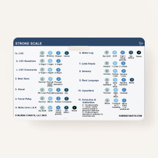 STROKE SCALE ID BADGE