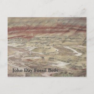 Strokes of colour postcard