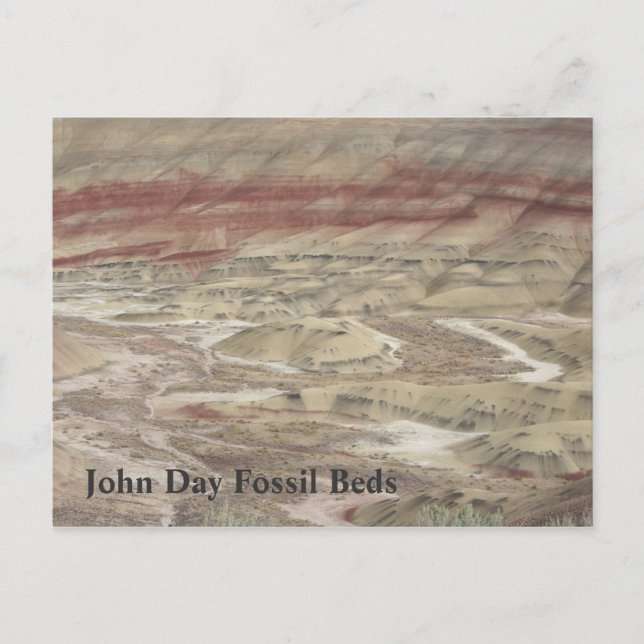 Strokes of colour postcard (Front)