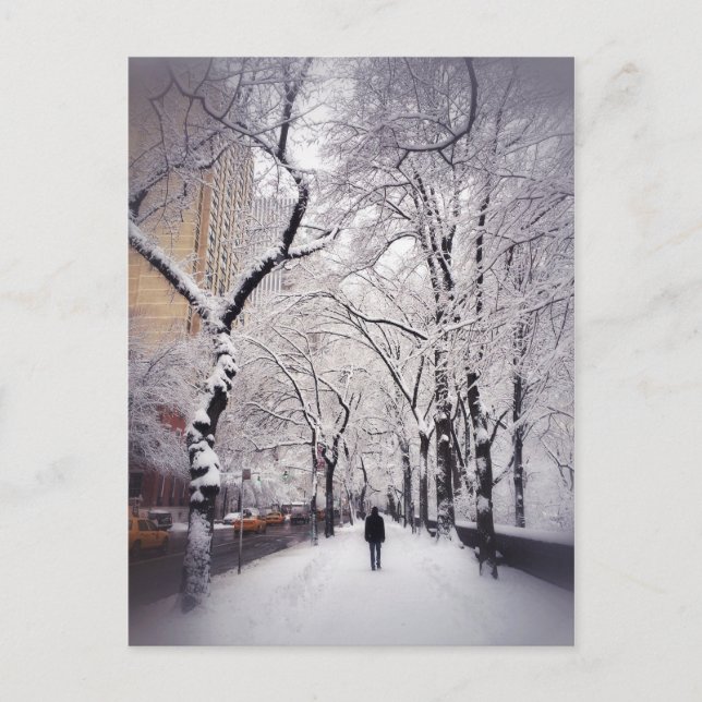 Strolling A Snowy City Sidewalk Postcard (Front)