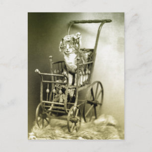 strolling with kitty postcard