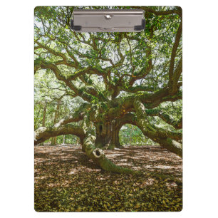 Strong And Bold Clipboard