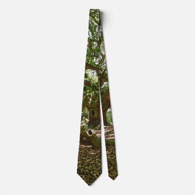 Strong And Bold Neck Tie (Front)
