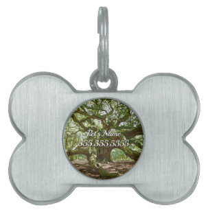 Strong And Bold Pet ID Tag