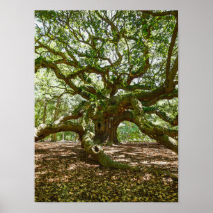 Strong And Bold Poster