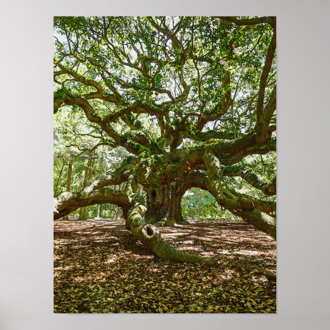 Strong And Bold Poster (Front)