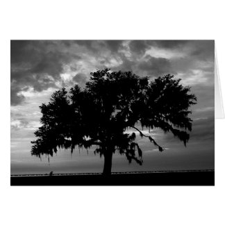 Strong as an Oak