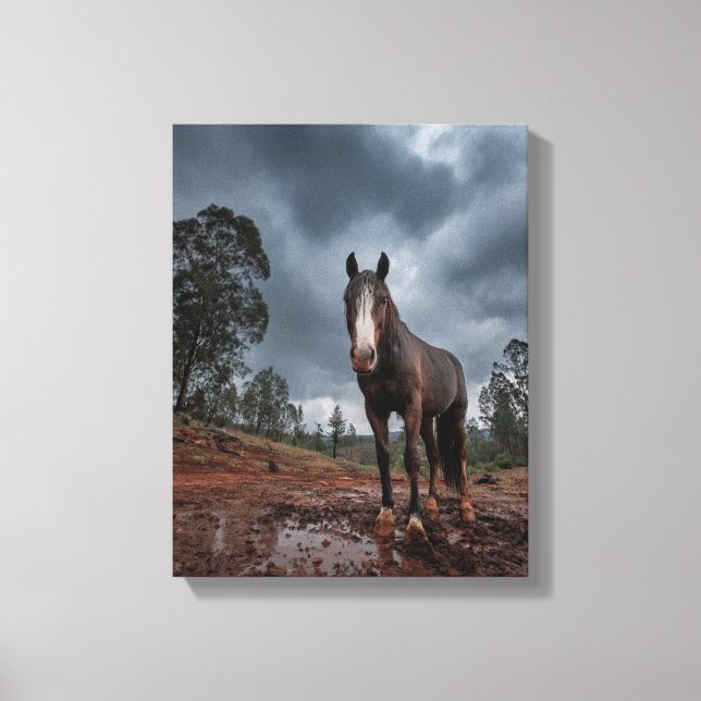 Strong Horse Under Stormy Sky Art Canvas Print (Front)