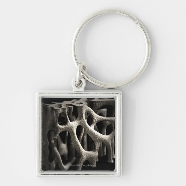 Structure of a bone with osteoporosis key ring (Front)
