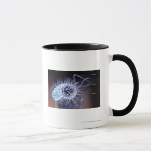 Structure of a helicobacter pylori cell mug