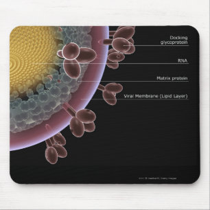 Structure of a HIV cell Mouse Pad