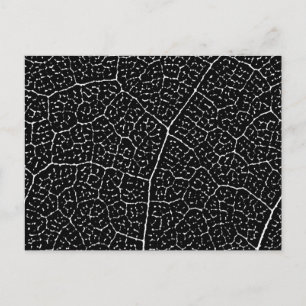 Structure of Leaf Veins Postcard