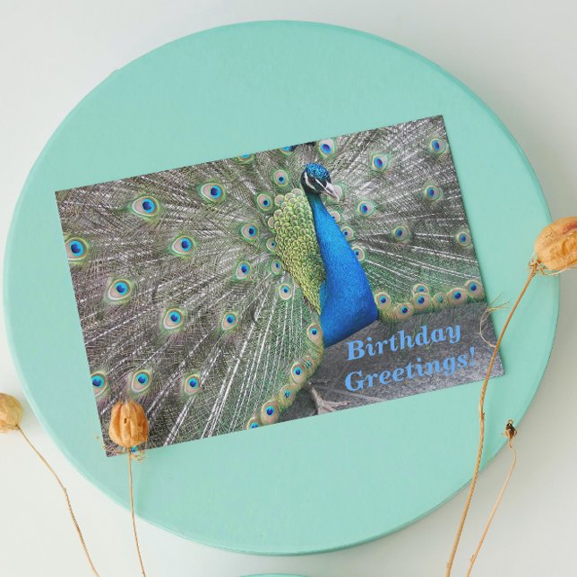 Strutting Blue Peacock Funny Birthday Card (In Situ)
