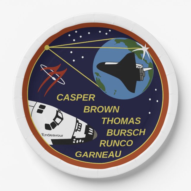 STS-77  PAPER PLATE (Front)