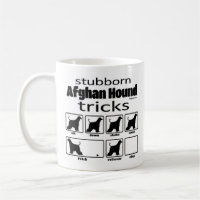 Stubborn Afghan Hound Tricks