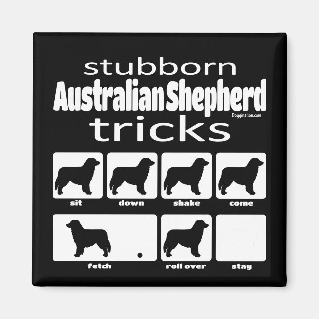 Stubborn Australian Shepherd Tricks Magnet (Front)