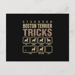 Stubborn Boston Terrier Tricks Dog Lover T-Shirt Announcement Postcard