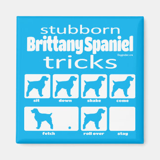 Stubborn Brittany Spaniel Tricks Magnet