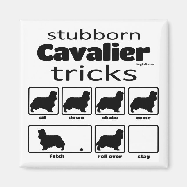 Stubborn Cavalier Tricks Magnet (Front)