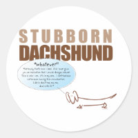 Stubborn Dachshund...says "WHATEVER !!!!"