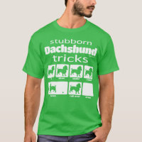 Stubborn Dachshund Tricks