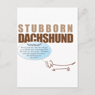 Stubborn Dachshund..WHATEVER ! Postcard