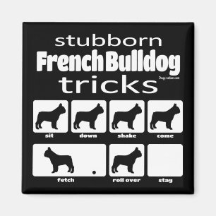 Stubborn French Bulldog Tricks Magnet