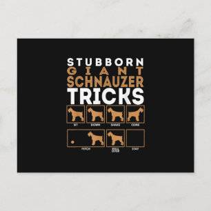 Stubborn Giant Schnauzer Dog Tricks Graphic Postcard