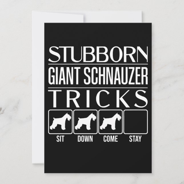 Stubborn Giant Schnauzer Tricks, Funny Giant Schna Announcement (Front)