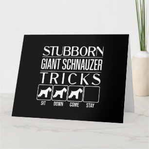 Stubborn Giant Schnauzer Tricks, Funny Giant Schna Card
