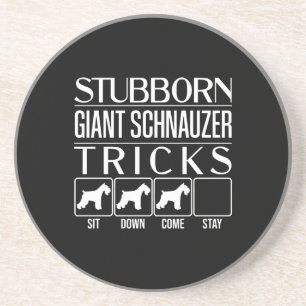 Stubborn Giant Schnauzer Tricks, Funny Giant Schna Coaster