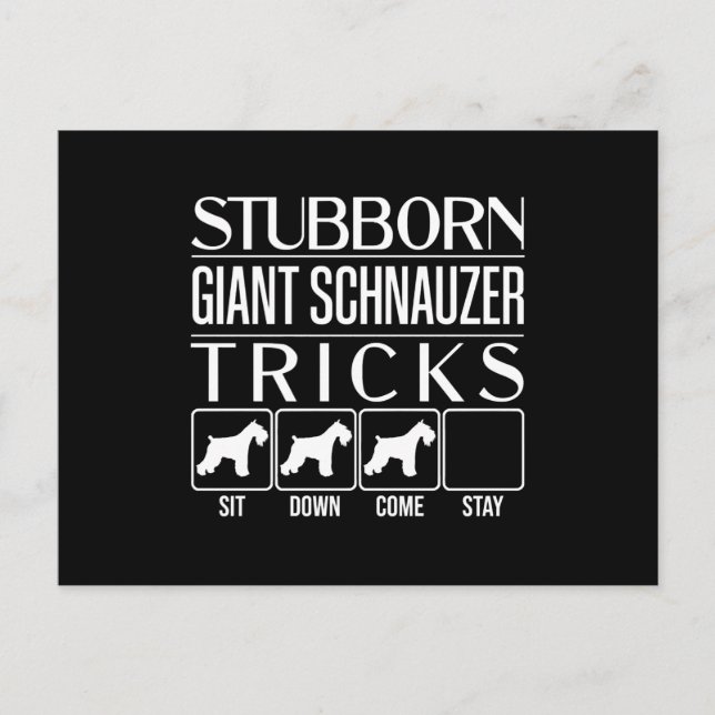 Stubborn Giant Schnauzer Tricks, Funny Giant Schna Postcard (Front)