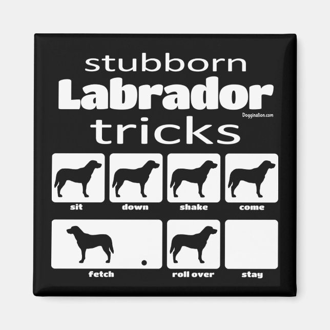 Stubborn Labrador Tricks Magnet (Front)