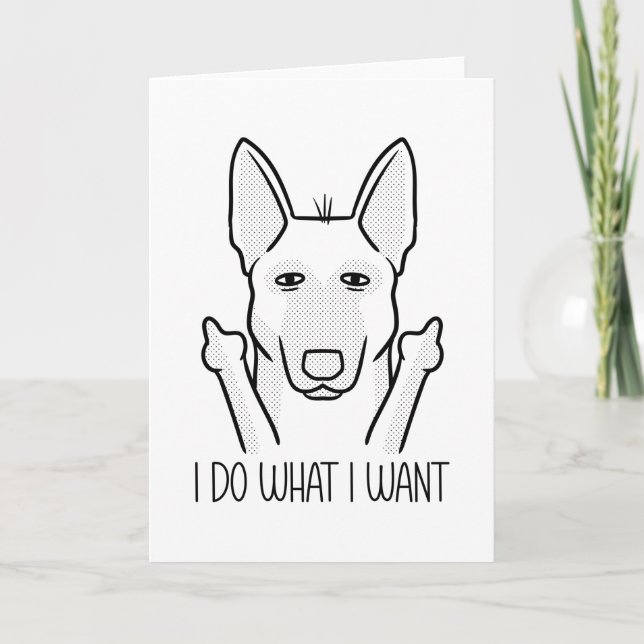 Stubborn Malinois Dog Belgian Shepherd Dog Card (Front)