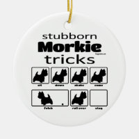 Stubborn Morkie Tricks